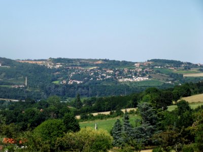 202006_0036 