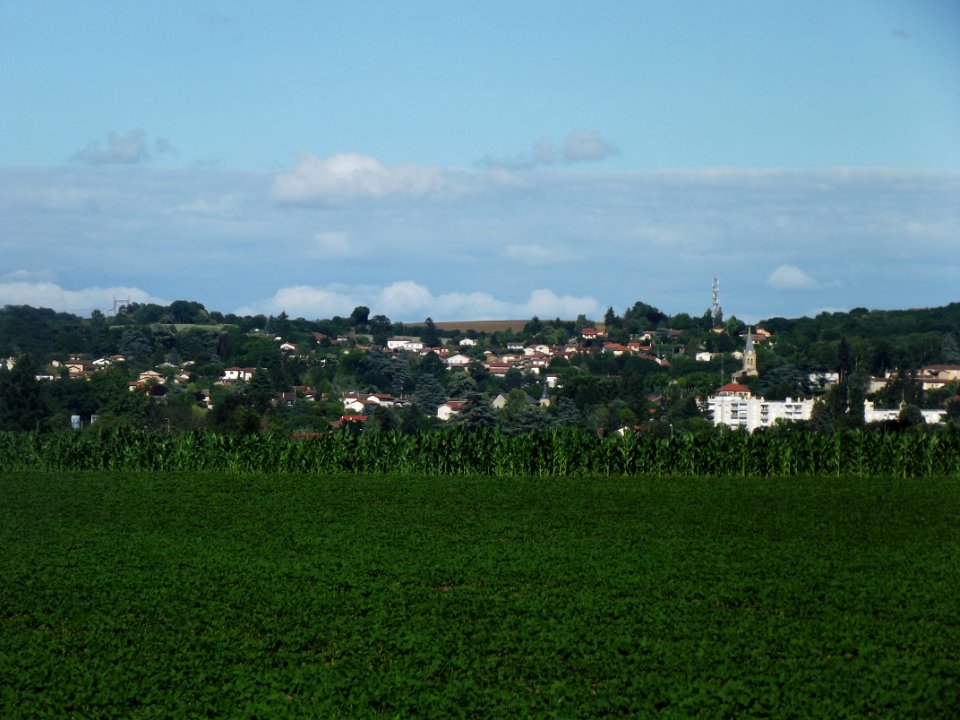 202006_0013 