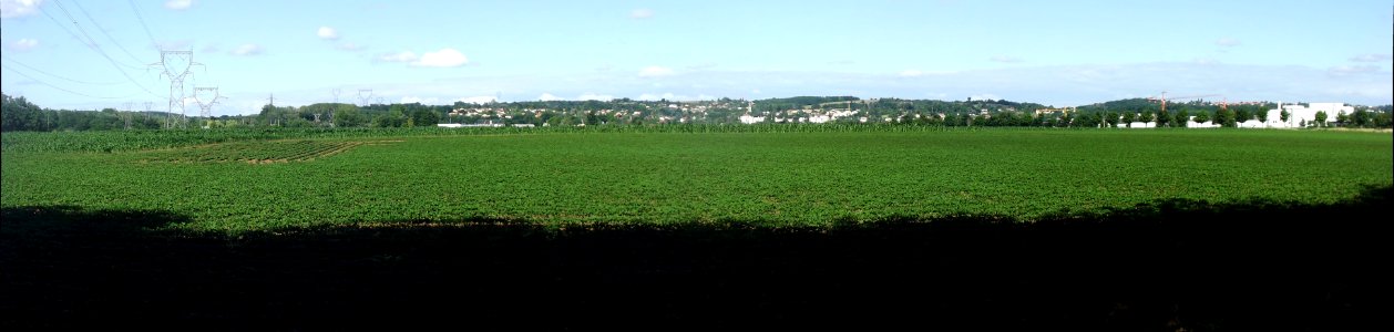 202006_0010 - 202006_0012 