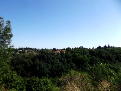 201908_0325 