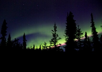 Night landscape nature