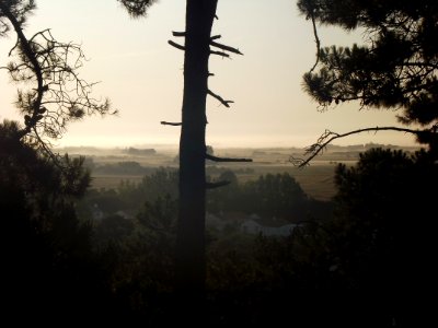 201908_0187 