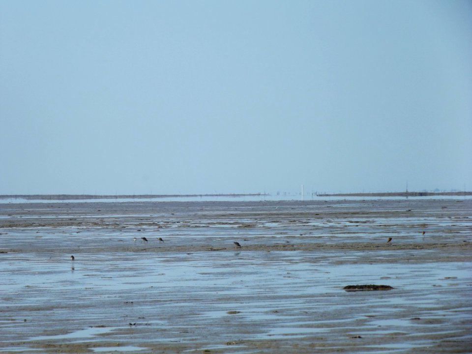 201908_0142 
