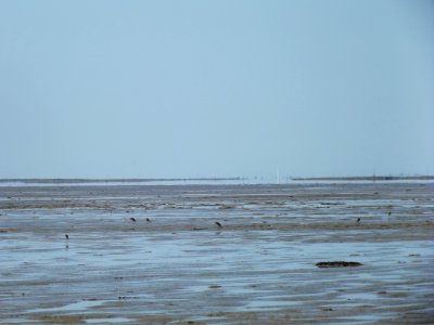 201908_0142 