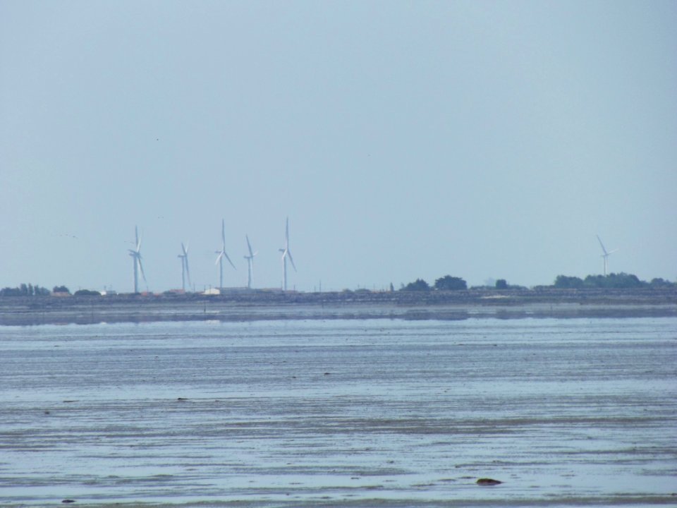 201908_0155 
