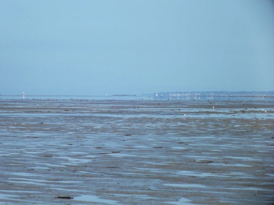 201908_0139 