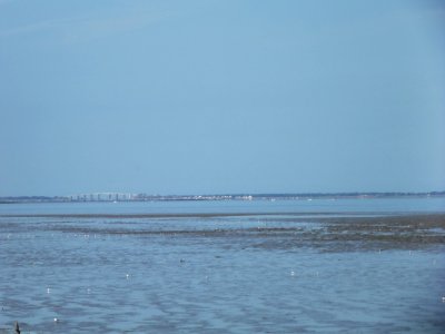 201908_0075 