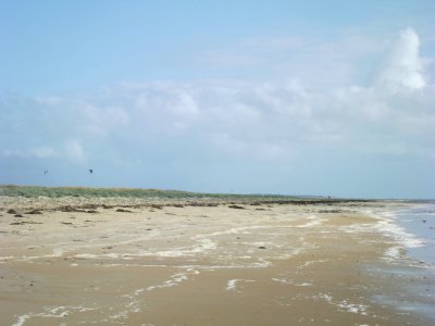 201907_0297 