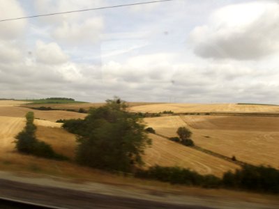 201907_0290 
