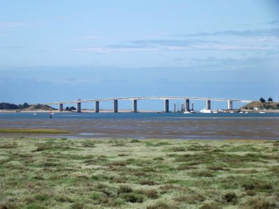 201907_0241 