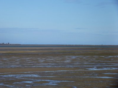 201907_0224 