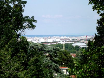 201907_0097 