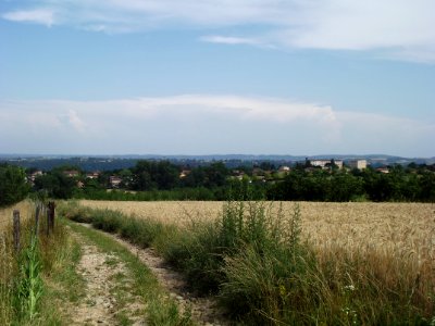 201906_0389 
