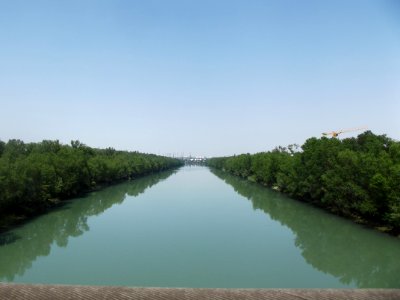 201906_0377 
