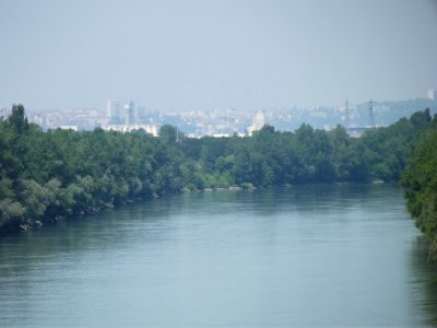 201906_0359 
