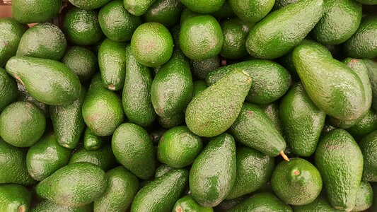 Avocado fruit vegetarian