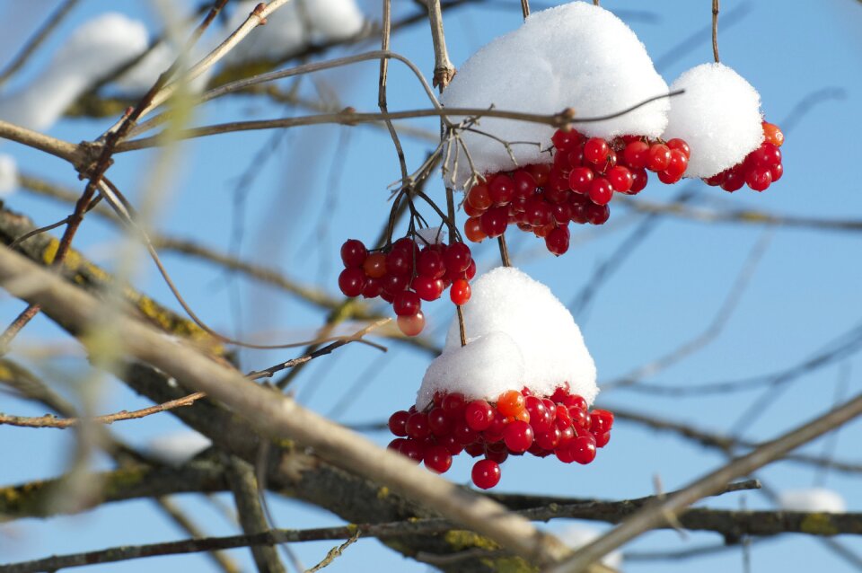 Winter mood winter mood