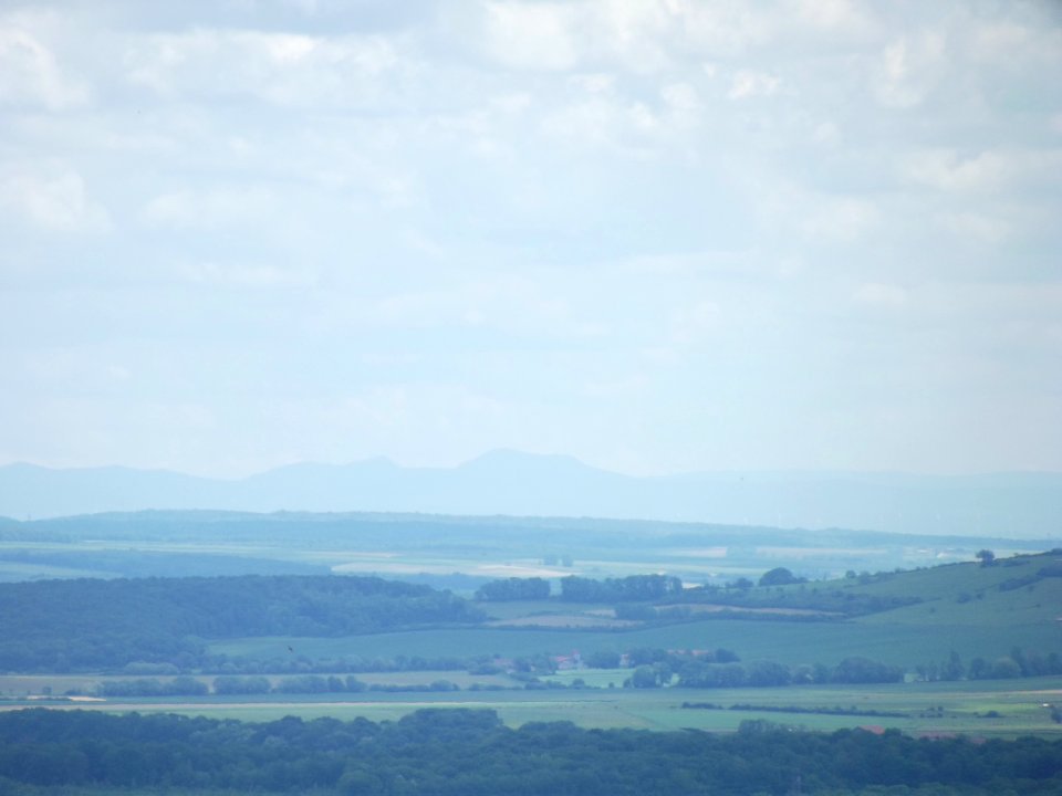 201905_0444 
