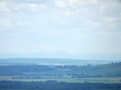 201905_0444 