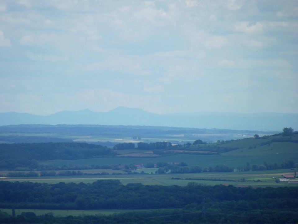 201905_0443 