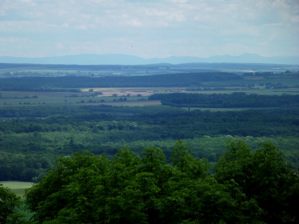 201905_0439 