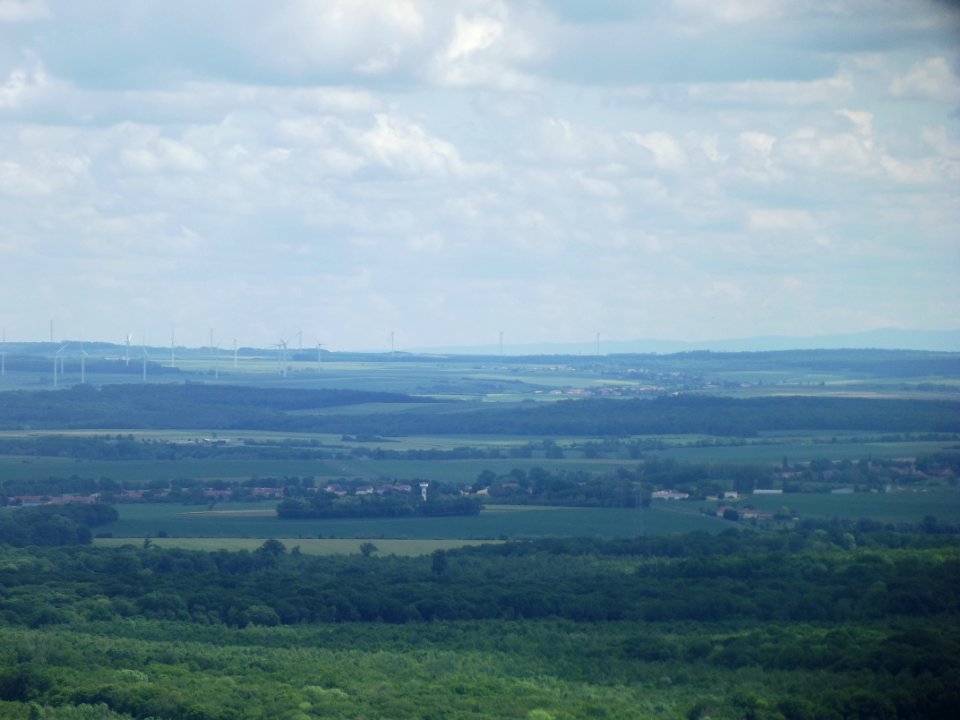 201905_0438 