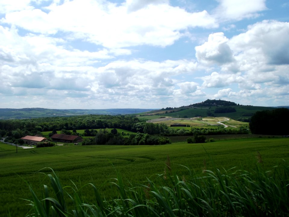 201905_0389 