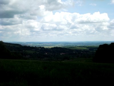 201905_0364 