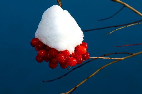Blue winter sky mood snow