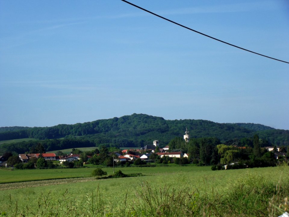 201905_0310 
