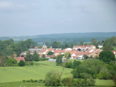 201905_0291 