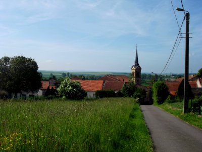 201905_0275 