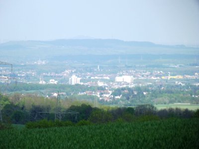 201905_0165 