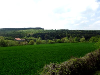 201905_0049 