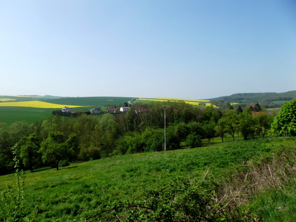 201905_0025 