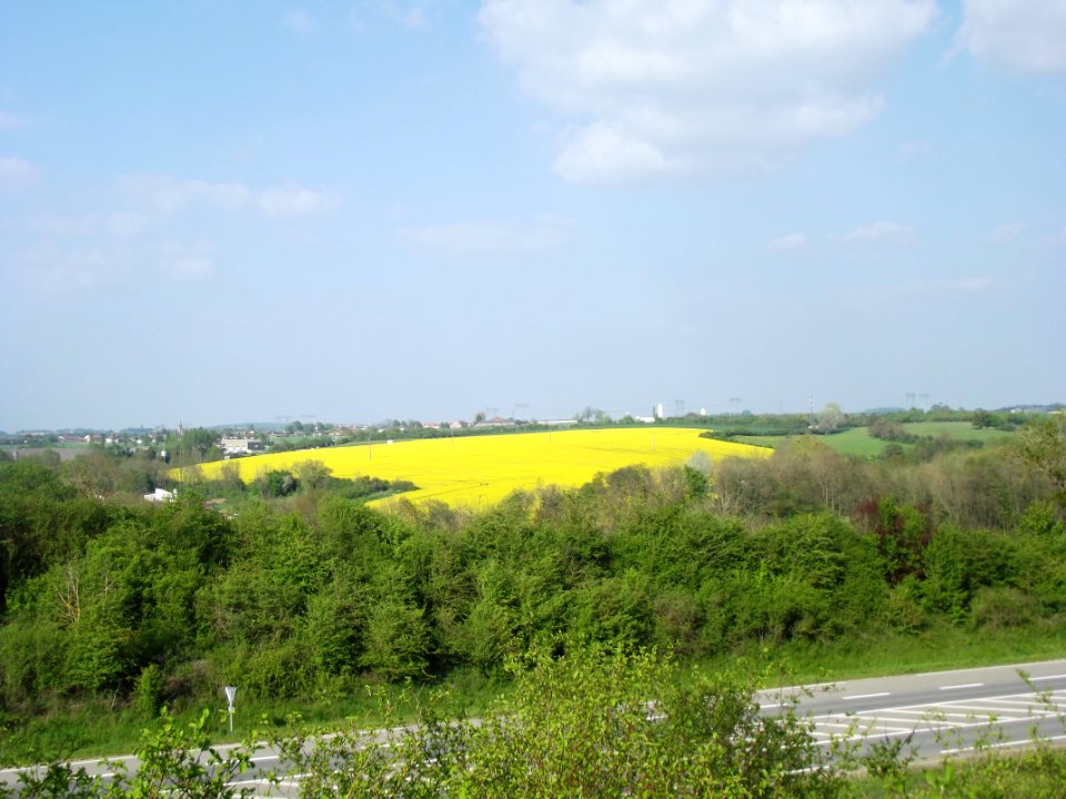201904_0828 
