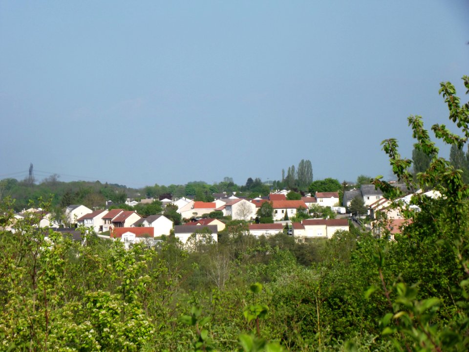 201904_0829 
