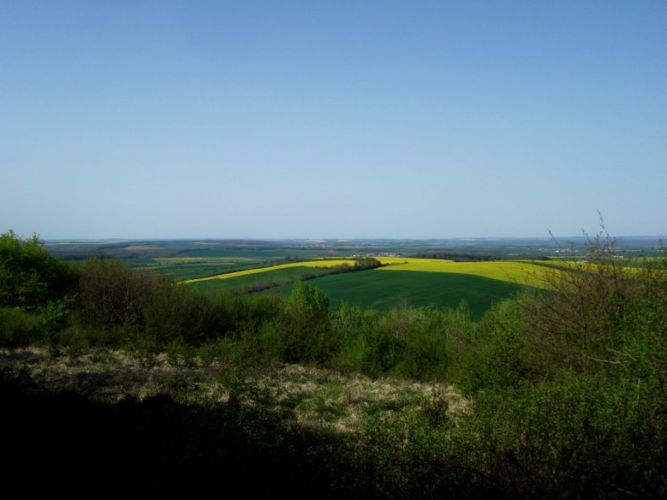 201904_0790 