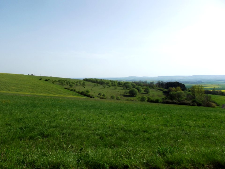 201904_0793 