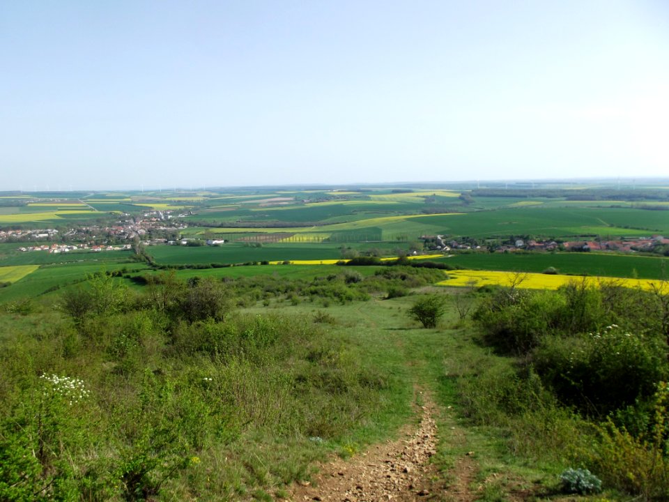 201904_0779 