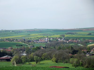 201904_0597 