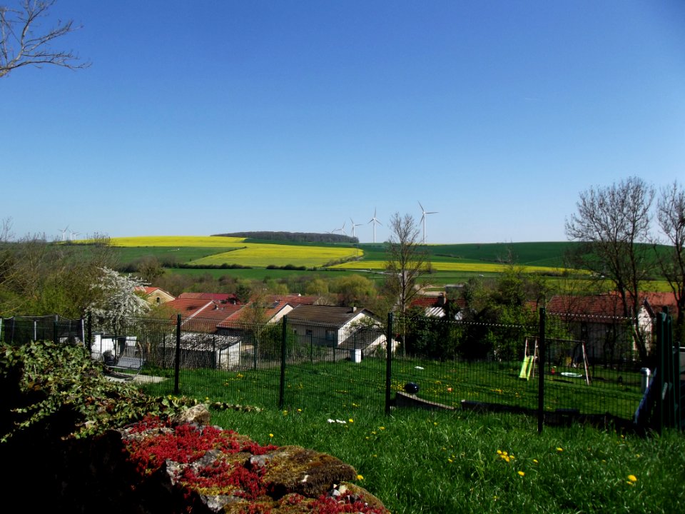 201904_0570 