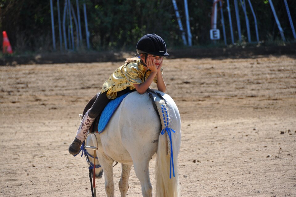 Horseback riding equine nature