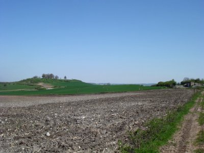 201904_0482 