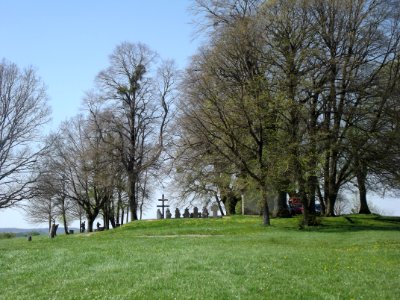 201904_0520 