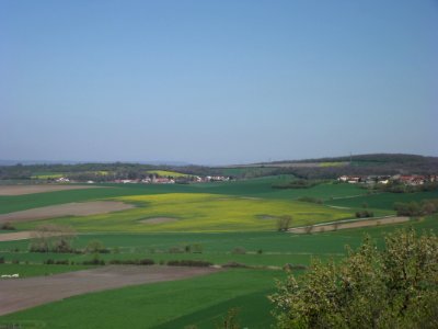 201904_0469 