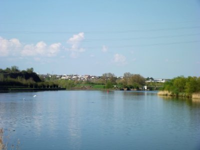 201904_0451 