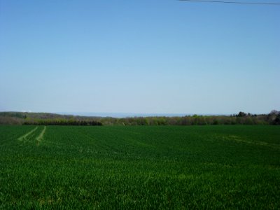 201904_0403 