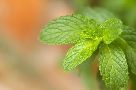 Medicinal nature health