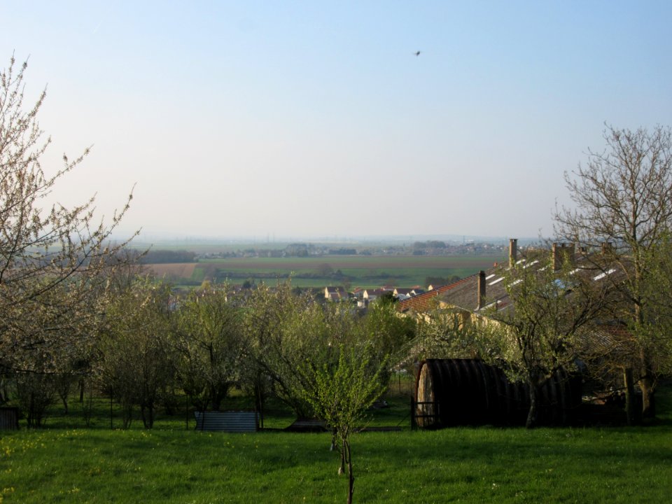 201904_0278 